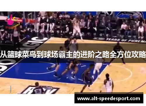 从篮球菜鸟到球场霸主的进阶之路全方位攻略