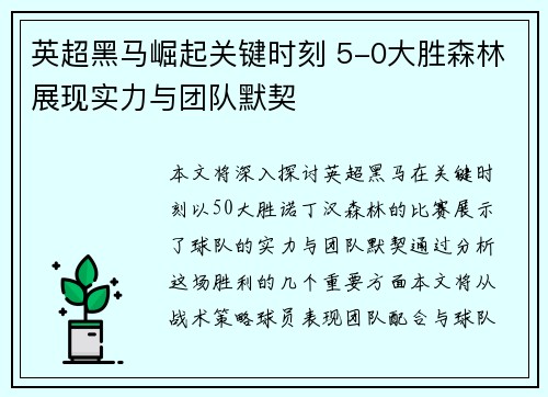 英超黑马崛起关键时刻 5-0大胜森林展现实力与团队默契