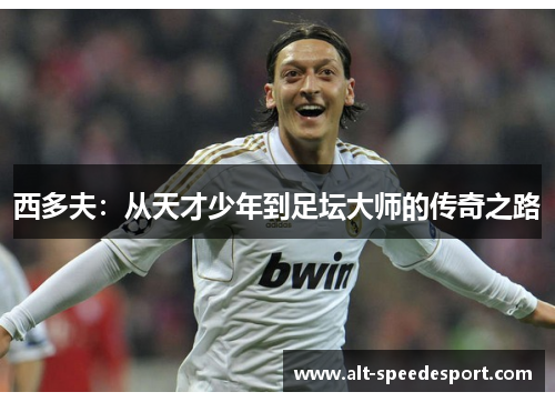 西多夫：从天才少年到足坛大师的传奇之路